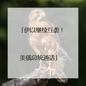 伊以继续互袭！美俄总统通话