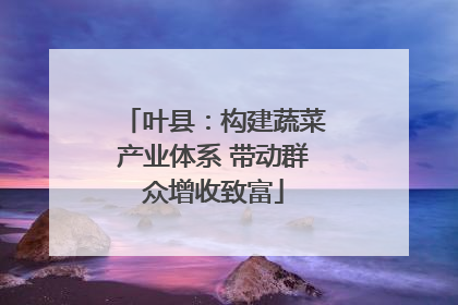 叶县：构建蔬菜产业体系 带动群众增收致富