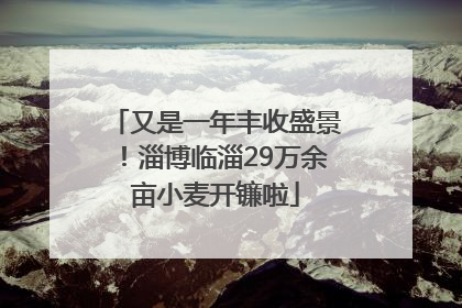 又是一年丰收盛景！淄博临淄29万余亩小麦开镰啦