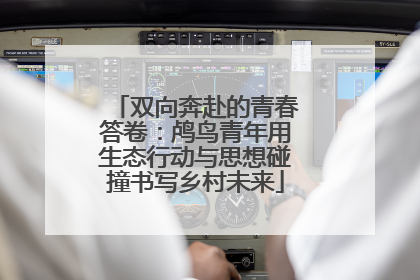 双向奔赴的青春答卷：鸬鸟青年用生态行动与思想碰撞书写乡村未来