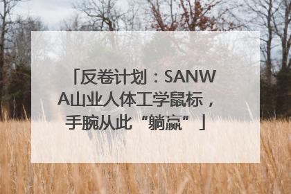反卷计划：SANWA山业人体工学鼠标，手腕从此“躺赢”