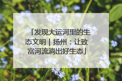 发现大运河里的生态文明｜扬州：让致富河流淌出好生态