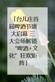 台儿庄首届啤酒节盛大启幕 三大会场解锁“啤酒+文化”狂欢矩阵