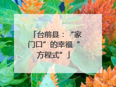 台前县：“家门口”的幸福“方程式”