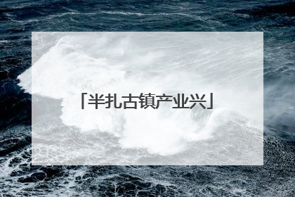 半扎古镇产业兴