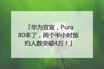 华为官宣，Pura 80来了，两个半小时预约人数突破4万！