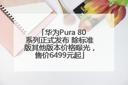 华为Pura 80系列正式发布 除标准版其他版本价格曝光，售价6499元起