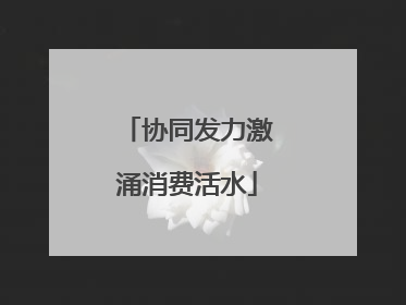 协同发力激涌消费活水