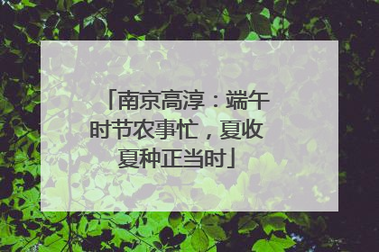 南京高淳：端午时节农事忙，夏收夏种正当时