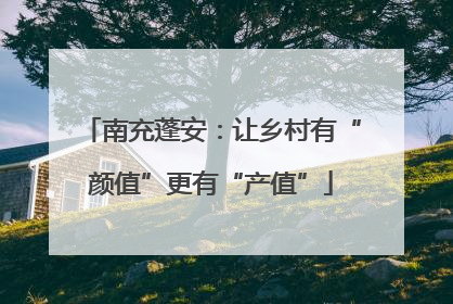南充蓬安：让乡村有“颜值”更有“产值”