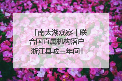 南太湖观察｜联合国直属机构落户浙江县城三年间