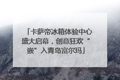 卡萨帝冰箱体验中心盛大启幕，创意狂欢“嵌”入青岛富尔玛
