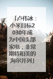 卢伟冰：小米目标2030年成为中国头部家电，非常期待和美的海尔并列
