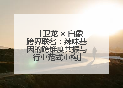 卫龙 × 白象跨界联名：辣味基因的跨维度共振与行业范式重构