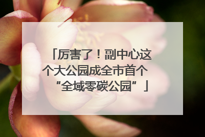 厉害了！副中心这个大公园成全市首个“全域零碳公园”