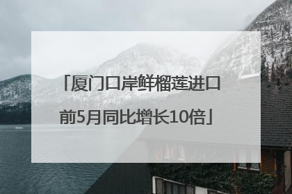 厦门口岸鲜榴莲进口 前5月同比增长10倍
