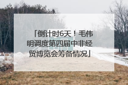 倒计时6天！毛伟明调度第四届中非经贸博览会筹备情况