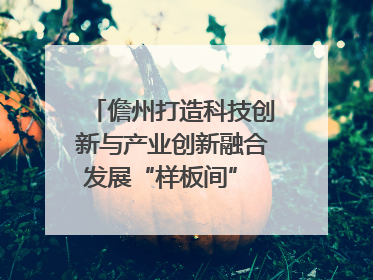 儋州打造科技创新与产业创新融合发展“样板间” 为产业发展插上科技“翅膀”