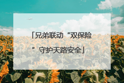 兄弟联动“双保险”守护天路安全