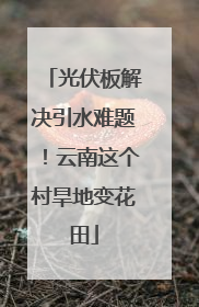 光伏板解决引水难题！云南这个村旱地变花田