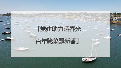 党建助力晒春光 百年腌菜飘新香