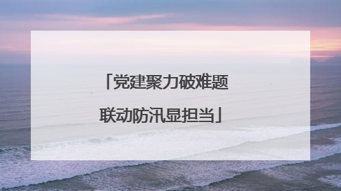 党建聚力破难题 联动防汛显担当