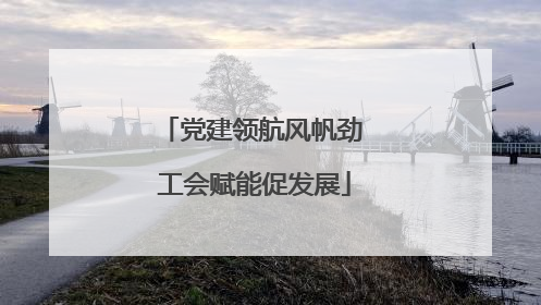 党建领航风帆劲 工会赋能促发展
