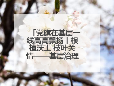 党旗在基层一线高高飘扬丨根植沃土 枝叶关情——基层治理中的先锋力量