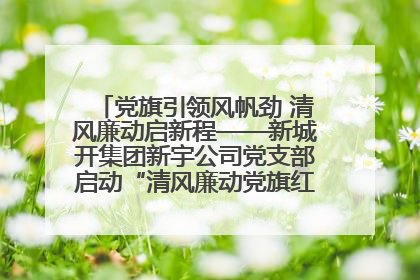 党旗引领风帆劲 清风廉动启新程——新城开集团新宇公司党支部启动“清风廉动党旗红”系列活动