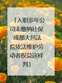 入职多年公司未缴纳社保 成都大邑法院依法维护劳动者权益这样判