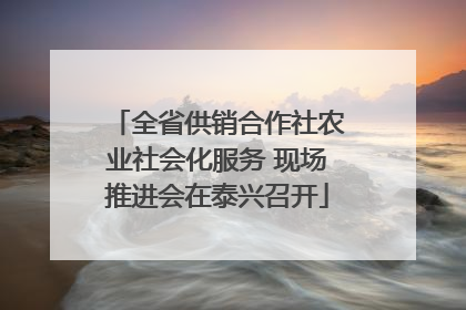 全省供销合作社农业社会化服务 现场推进会在泰兴召开
