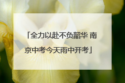 全力以赴不负韶华 南京中考今天雨中开考