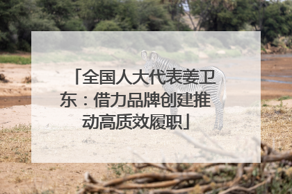 全国人大代表姜卫东：借力品牌创建推动高质效履职
