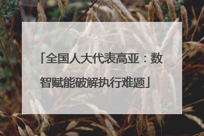 全国人大代表高亚：数智赋能破解执行难题