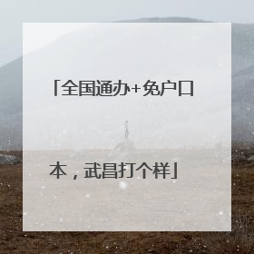 全国通办+免户口本，武昌打个样