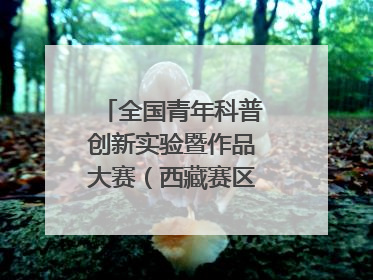 全国青年科普创新实验暨作品大赛（西藏赛区）复赛关注智慧环保等主题