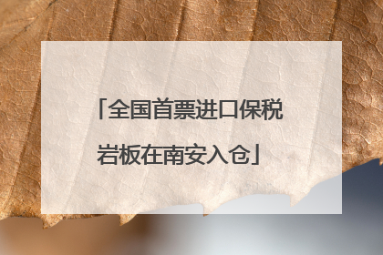 全国首票进口保税岩板在南安入仓