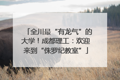 全川最“有龙气”的大学！成都理工：欢迎来到“侏罗纪教室”