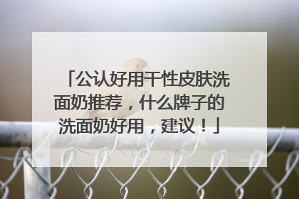公认好用干性皮肤洗面奶推荐，什么牌子的洗面奶好用，建议！