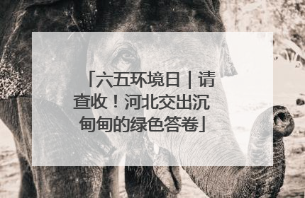 六五环境日｜请查收！河北交出沉甸甸的绿色答卷