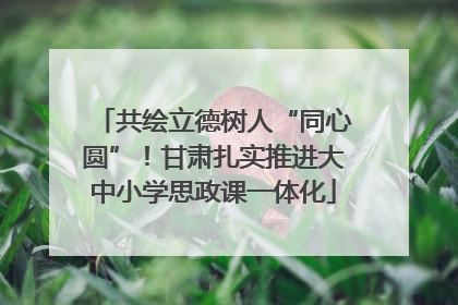 共绘立德树人“同心圆”！甘肃扎实推进大中小学思政课一体化