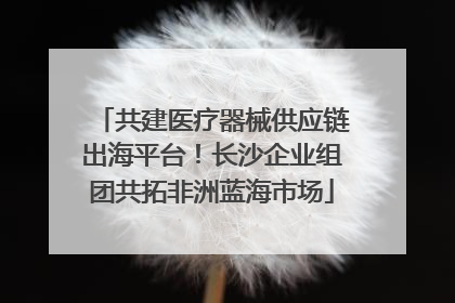共建医疗器械供应链出海平台！长沙企业组团共拓非洲蓝海市场