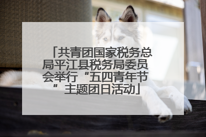 共青团国家税务总局平江县税务局委员会举行“五四青年节”主题团日活动