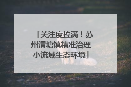 关注度拉满！苏州渭塘镇精准治理小流域生态环境