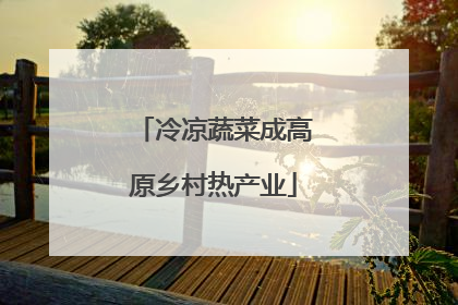 冷凉蔬菜成高原乡村热产业