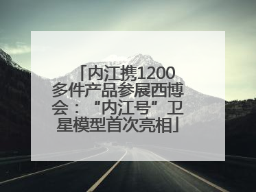 内江携1200多件产品参展西博会：“内江号”卫星模型首次亮相