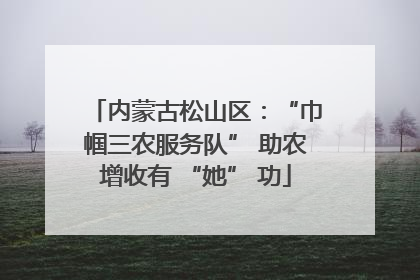 内蒙古松山区：“巾帼三农服务队” 助农增收有 “她” 功