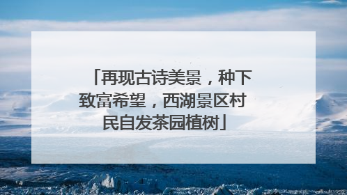 再现古诗美景，种下致富希望，西湖景区村民自发茶园植树