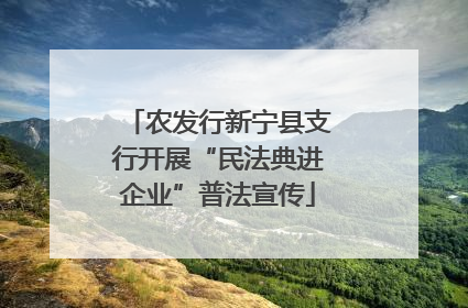 农发行新宁县支行开展“民法典进企业”普法宣传
