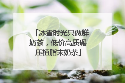 冰雪时光只做鲜奶茶，低价高质碾压植脂末奶茶